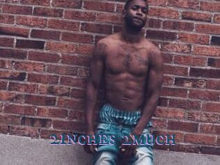 2inches_2much