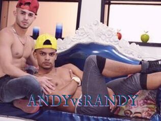 ANDYvsRANDY