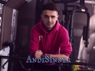 AndiSinner