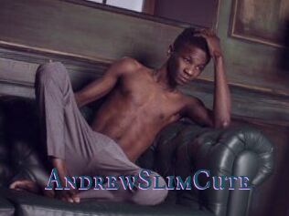 AndrewSlimCute