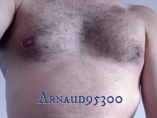 Arnaud95300