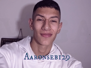 Aaronseb129