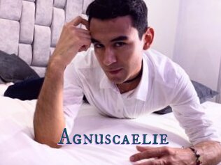 Agnuscaelie