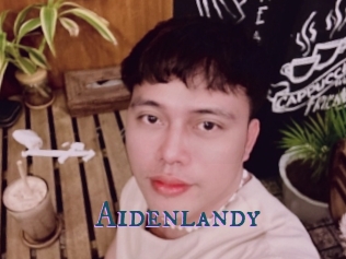 aidenlandy Video gay streaming