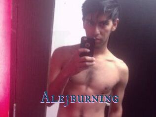 Alejburning