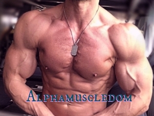 alphamuscledom Video gay streaming