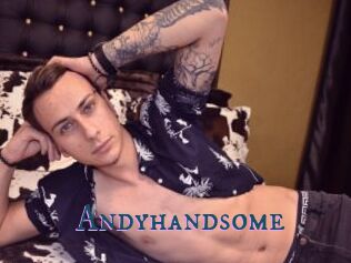 Andyhandsome