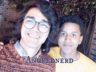 Angeldnerd