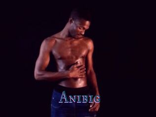Anibig