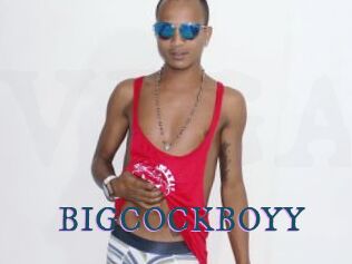 BIGCOCKBOYY