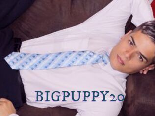 BIGPUPPY20