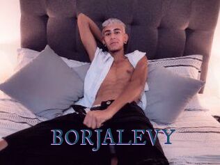 BORJALEVY