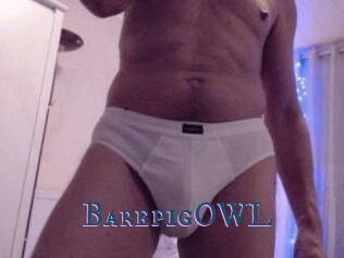 BarepigOWL