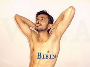 Bibin