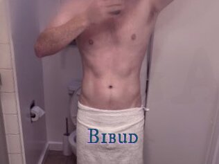 Bibud