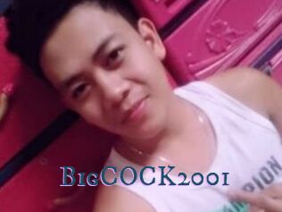 BigCOCK2001