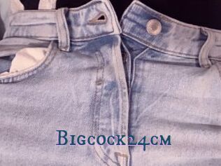 Bigcock24cm