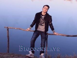 Bigcockslave