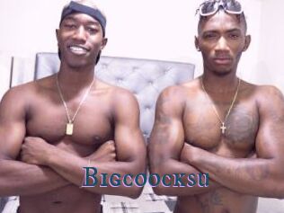 Bigcoocksu