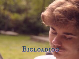 Bigload100