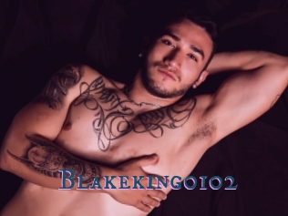 Blakeking0102