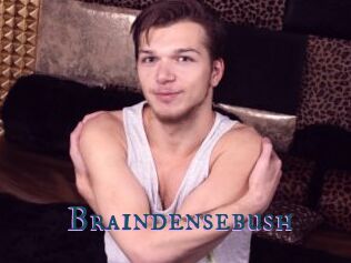 Braindensebush