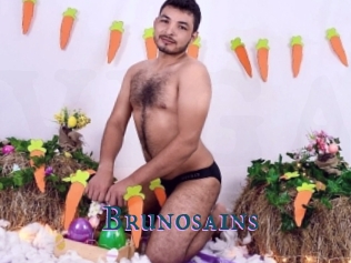 brunosains Video gay streaming