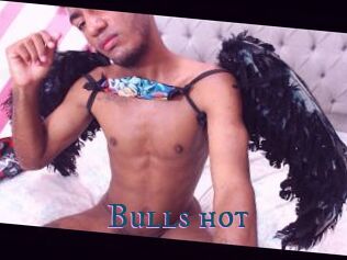 Bulls_hot