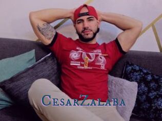 CesarZalaba