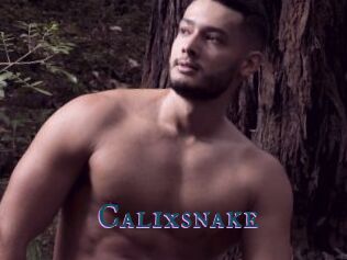 Calixsnake