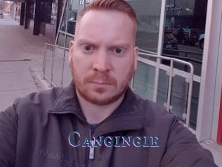 Cangingie