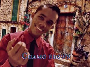 Chamo_brown