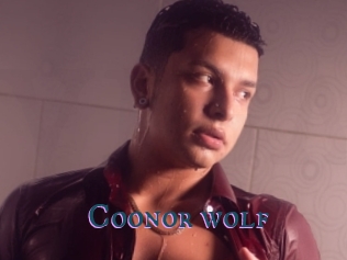Coonor_wolf