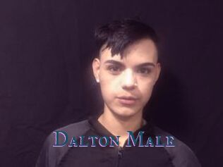 Dalton_Male