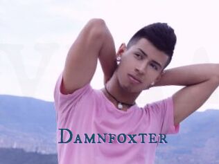 Damnfoxter