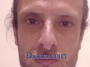 Darkrabbit