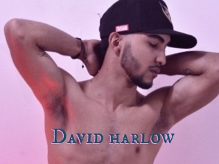 David_harlow