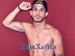 ErikXavier