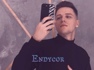 Endycor