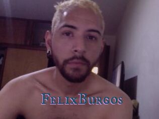 FelixBurgos