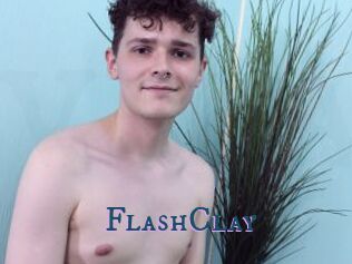 FlashClay