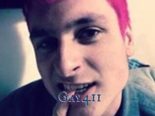 Gay411