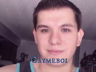 Gaymeboi