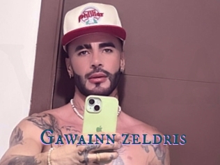 Gawainn_zeldris