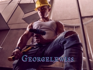 Georgelewiss