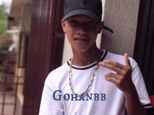 Gohanbb
