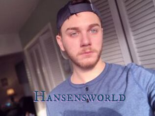 Hansensworld