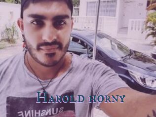 Harold_horny