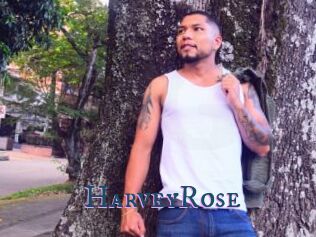 HarveyRose