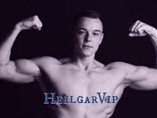 HeilgarVip